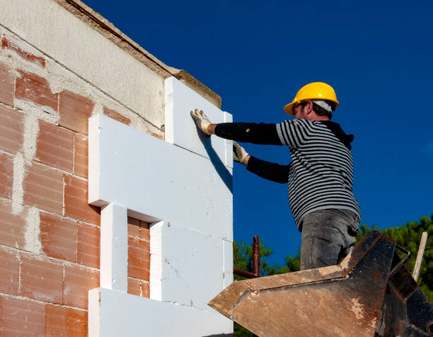 Best Types of Insulation in Oasis, CA